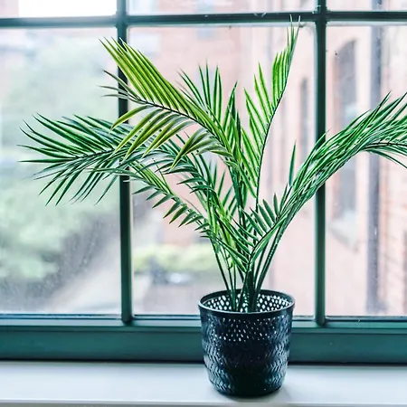 Converted Mill, Stylish In Castlefield Appartamento Manchester