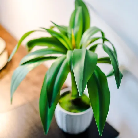 Converted Mill, Stylish In Castlefield Lägenhet