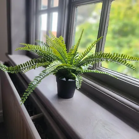 Charming Tudor White House Free Wifi * Mánchester