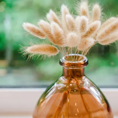 Bright 4br With Garden With Free Parking And Sleeps Up To 9 * مانشستر