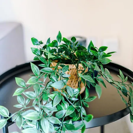 Spacious 3-bed With Free Parking And Near Centre Manchester