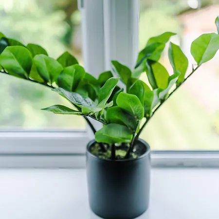 Casa vacanze Spacious 3bed In Stretford, Sleeps 6, Parking *