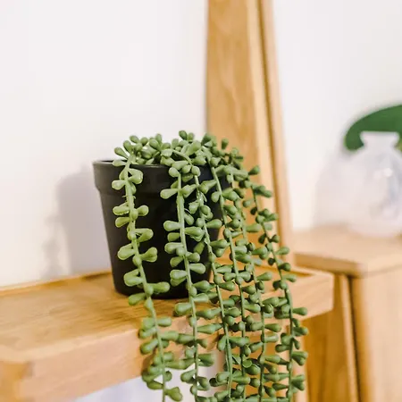 Elegant 2br Flat Near Northern Quarter Apartman