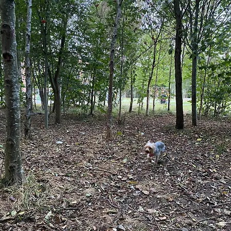 Cheerful 4-bedroom House With Multiple Car Parking Ferienhaus *