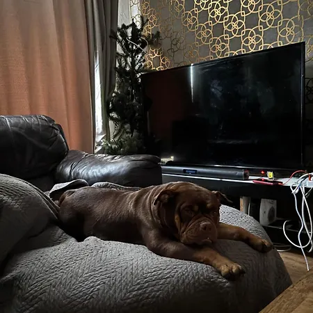 Female&family Single, Double And King Size With Shared Bathroom * Manchester