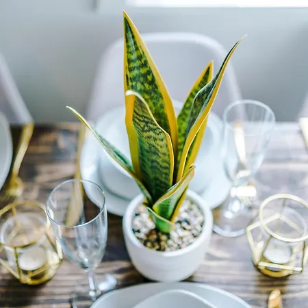 Spacious 4br With 3 Baths, בית נופש מנצ'סטר