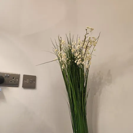 Charming Ground Floor Tudor Free Wifi