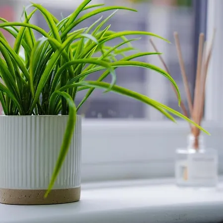 Spacious 2BR Near Centre Sleeps 6 Parking