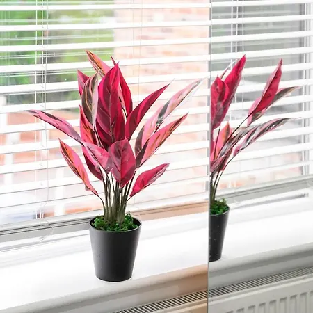 Four Bedroom House By Brookland Serviced Short Lets Salford With Free Wifi Appartement