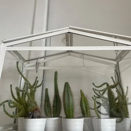 Stunning Centre Flat With A Terrace Apartment Manchester