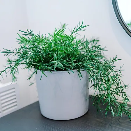 Apartamento Modern 2br Parking Great Location & Amenities