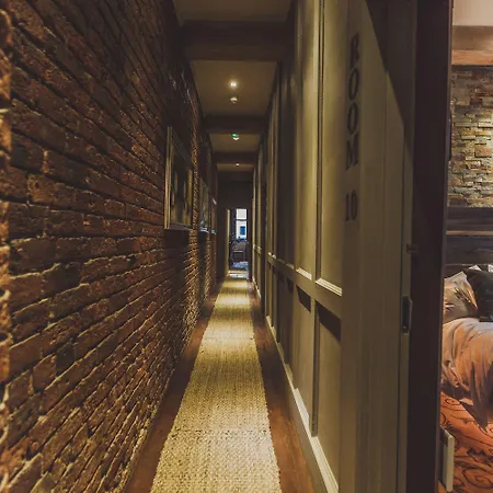 Отель The Cow Hollow