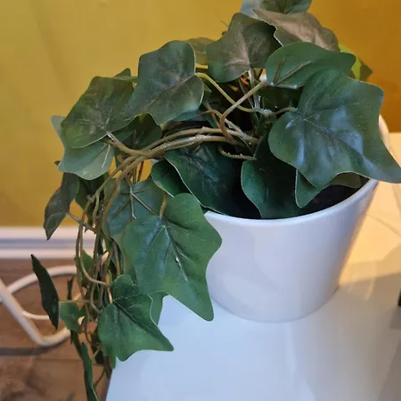 Apartment Blue Haven 2