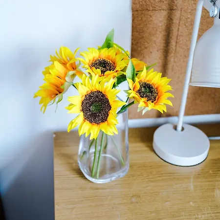 Διαμέρισμα 2br Heights Sleeps 7 Parking & Wifi