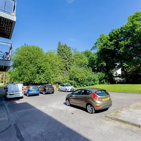 Joyful Management -top Floor With Feel Deco In M16