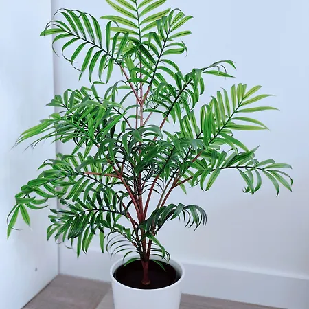 Modern House Πανσιόν *