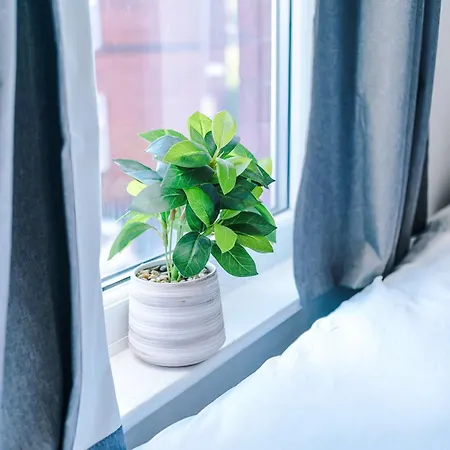 4-bed House Near Centre Holiday home *