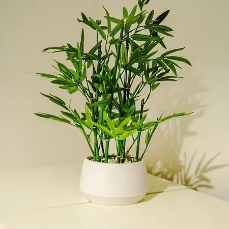 Oldtrafford - Sleeps 6 - Free Parking - Free Wifi マンチェスター