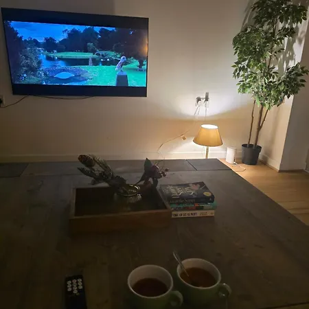 Bee Hive Flat Gasthuis