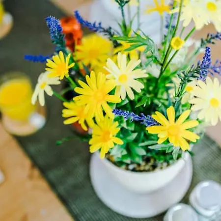 Modern House - Sleeps 6 - Free Parking - Near Etihad Stadium - Coop Live Holiday home Manchester