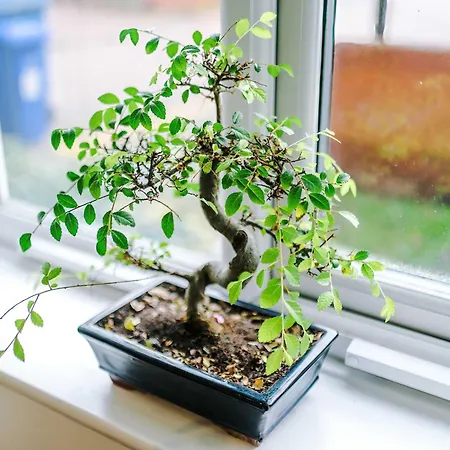 Comfy 1br In Salford, Kitchen, Wifi And Parking Apartament *