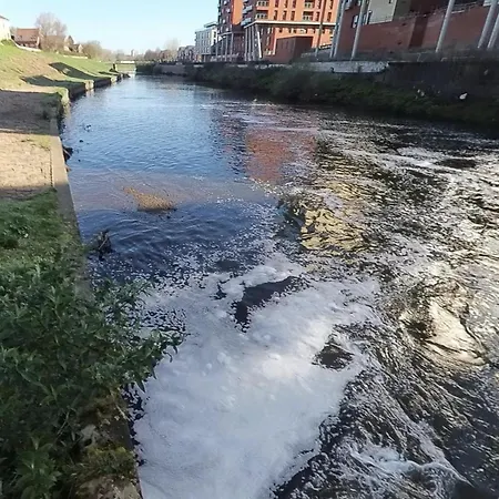 Entire In Apartment Manchester