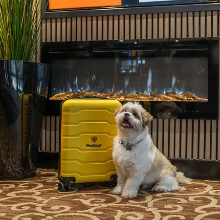 Airport Hotel