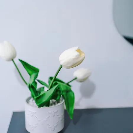 Large 2 Bedroom With Balcony By Host A マンチェスター