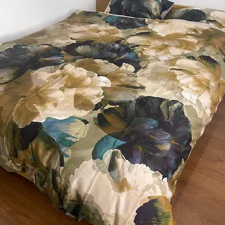 בית הארחה Princess Shahzadi