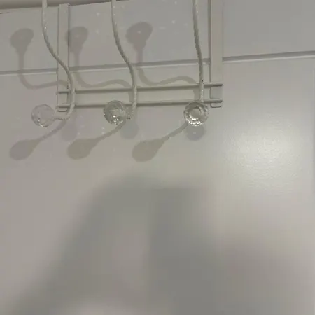 Princess Shahzadi * מנצ'סטר