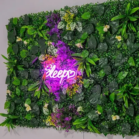 The Vibe & Play Hangout