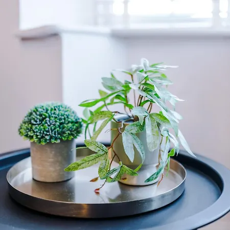 Free Park Stunning 3bedroom In Manchester