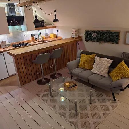 Chic Loft In Victorian House *