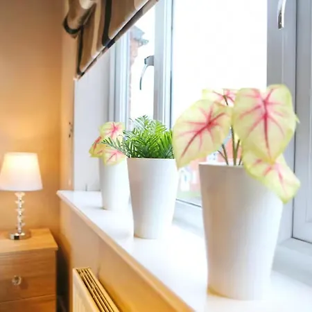 Modern Two-bedroom House Close To Centre Appartamento *