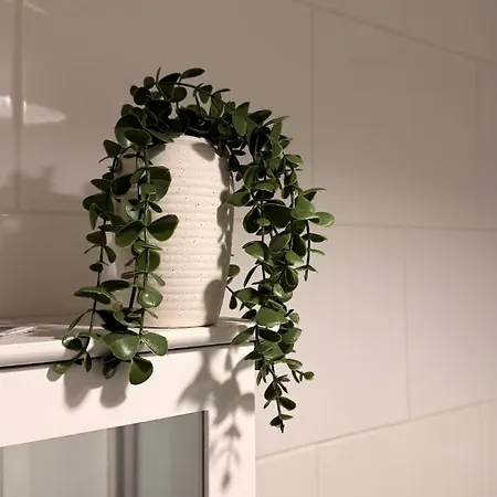 Get Lizzy City Centre Gem Next To Shudehill