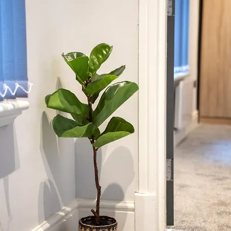 Manchester Resort דירה *