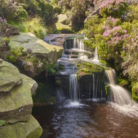 דירה Manchester Resort