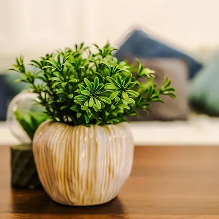 Prázdninový dům Oldtrafford - Sleeps 6 - Free Parking - Free Wifi