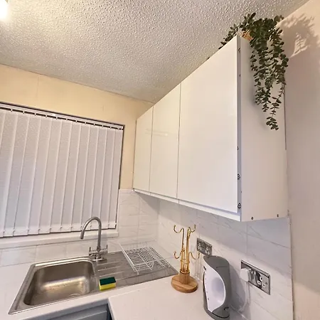Elite 1-bedroom Flat
