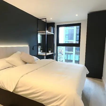 Bluebird Luxury Ii