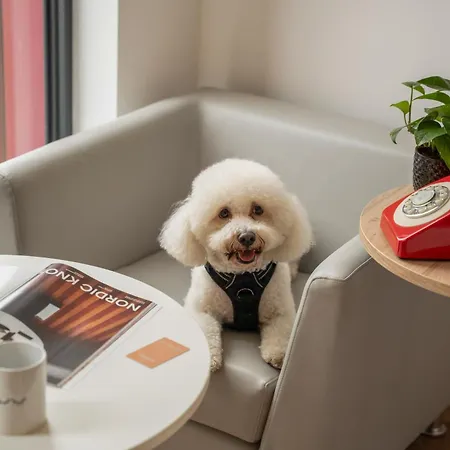 Innside By Meliá 4* Mánchester