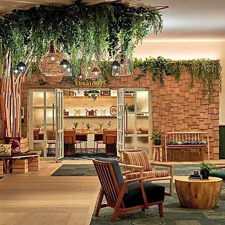 Otel Treehouse