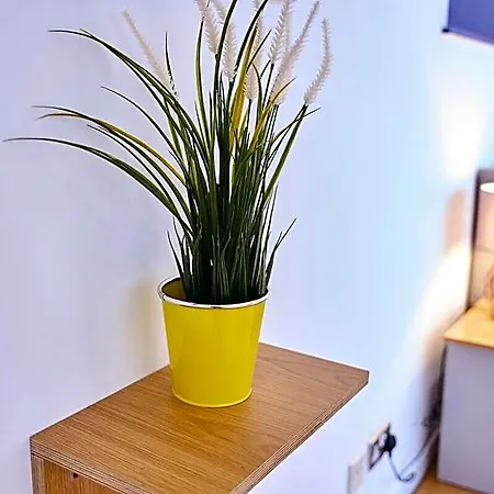 Pluxa Citronella