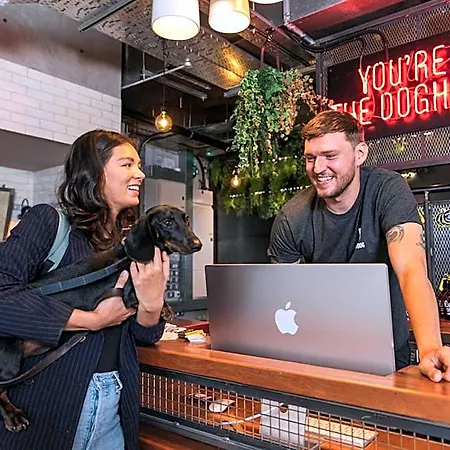 Brewdog Doghouse Otel Manchester