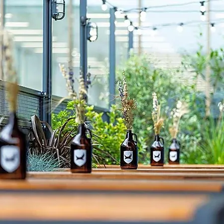 Brewdog Doghouse Otel 4*