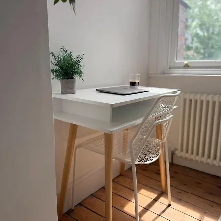 Sunlit Stylishly Restored Victorian *