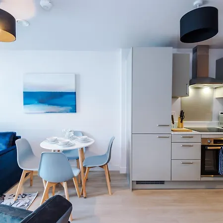 1bdr Open Plan With Full Kitchen Appartement