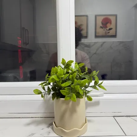 Apartamento The Monochromatic Nest