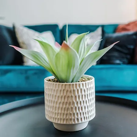Stylish 1br With Free Parking Apartamento