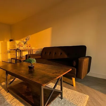 Apartment Close To Centre, Parking, Ao Arena, Victoria Station